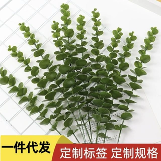 定制尤加利叶批发跨境金钱叶摆件婚庆装饰仿真绿植仿真花搭花花材