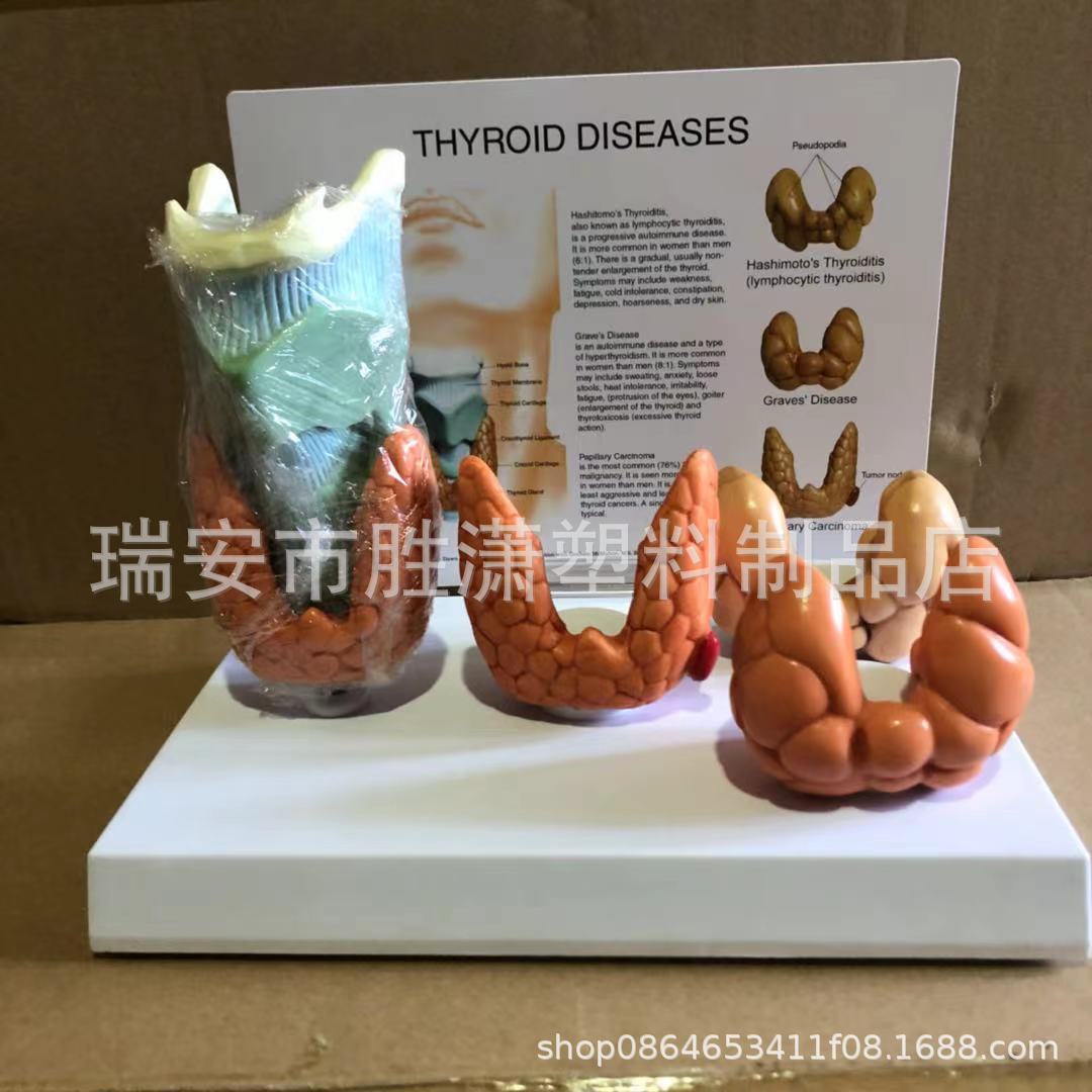 61d6cf3fcda6723e7f9ee1a2103df1