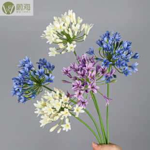 ����ɏ���滨�Wʽ�Ҿ��b�ܛ�b�廨�[����c�쾰�zӰ���߼ٻ����l