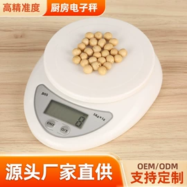 厨房秤;手提秤;珠宝秤