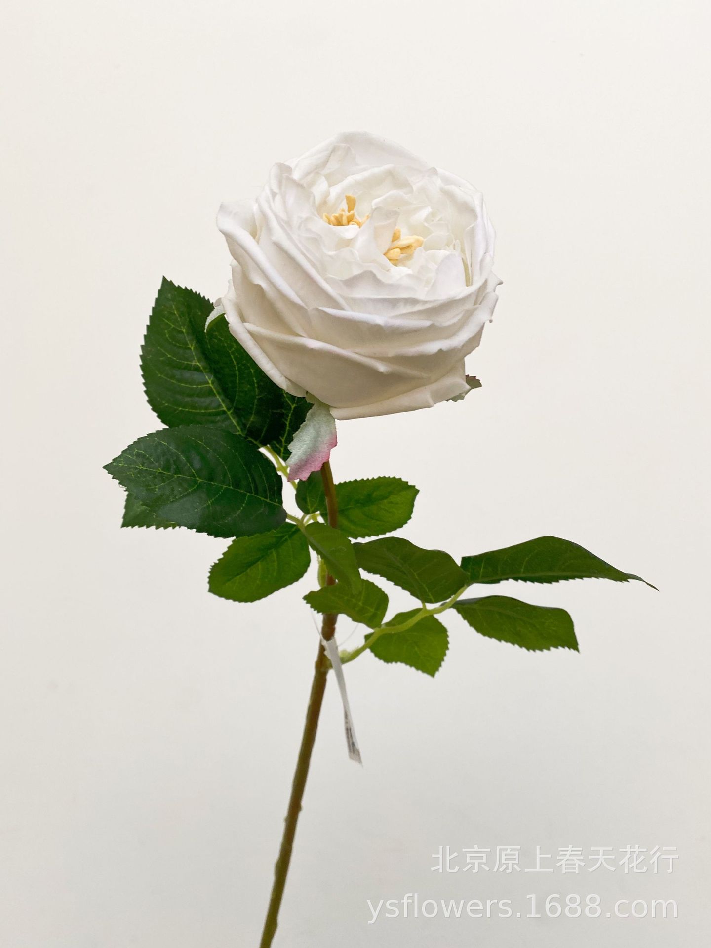 Siente artificial hidratante atin Rose Bud Core Rose temporada accesorios de tiro flor falsa planta decorativa flor falsa