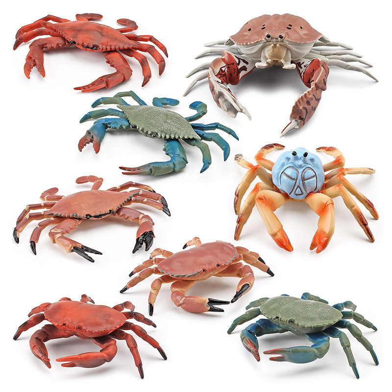 Simulación modelo de cangrejo animal marino laminado pan al vapor cangrejo verde escritorio estática cognitiva adornos de exportación transfronteriza