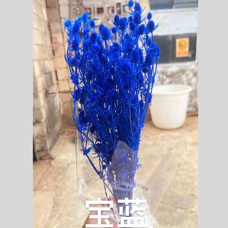 사파이어 블루 [약 100]