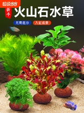 ��ɽʯˮ��ֲ���~���쾰���ˮ������ˮ����ԾG�Ճ���ˮ�|�ײ�