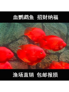 ���ϼt�W�^�~�^�p�~�Ꭷ�~��ˮ�~��ؔ�~Ԫ���~ؔ���~�lؔ�~����