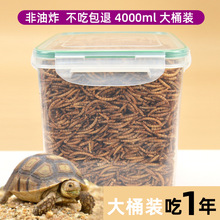 ���Z������ϵ�ˮ�r���~������x�����������rƤ�����r����x��ʳ