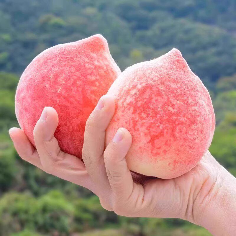 Shandong Mengyin Water Honey Peach 2.5kg Winter Crisp Peach Seasonal Fresh Fruit for Pregnant Women, Free Shipping Via Sf Express Shandong Mengyin Water Honey Peach 2.5kg Winter Crisp Peach Seasonal Fresh Fruit for Pregnant Women, Free Shipping Via Sf Express