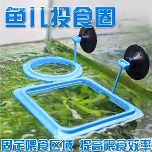 Aquarium Fish Feeding Ring Aquarium Fish Tank Fish Food Fish Food Fish Feed Feeding Ring Feeding Ring Feeder Other