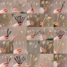 ���L����ʽ�l���l�����q�����K�l�O�^�2026�¿���Lľ��Ů����