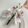 White Orchid Duck Clip (BA2228)