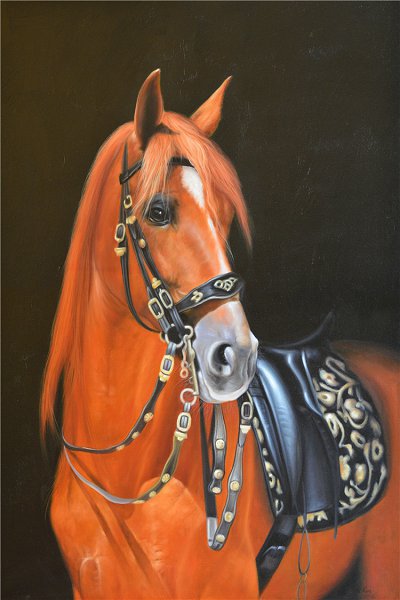 50322 Caballo de lujo ligero21