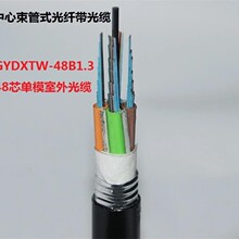 ��������ʽ ���w�����|GYDXTW-48B1.3 48о��ģ������| ���|�S��