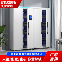 办公室文件柜铁皮储物柜钢制档案柜资料收纳柜财务室凭证收纳柜子