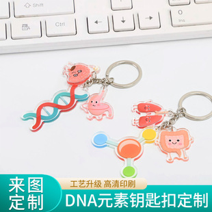 Keychain Customized Dna Cell Element Acrylic Cartoon Keychain School Bag Double-Sided Small Gift Pendant Wholesale