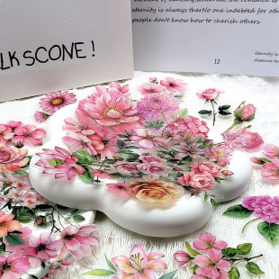 50����ɫ�����N��������Pӛ���������~�p͸PET���|��ˮ�N��