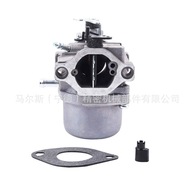 Carburetor 494502 495706 496592