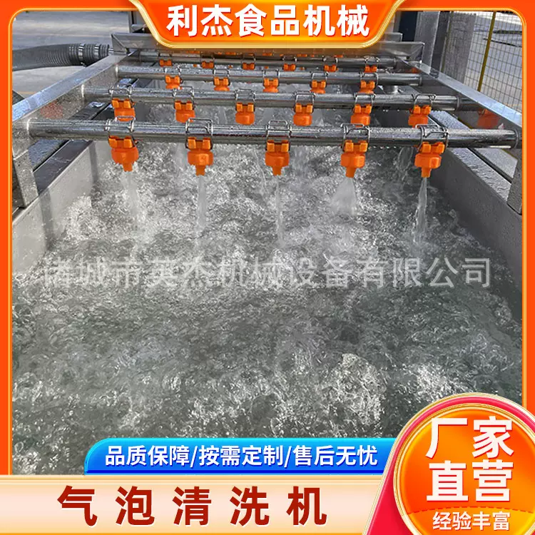 全自动果蔬气泡清洗机连续式四季豆清洗设备韭菜小青葱净菜加工设