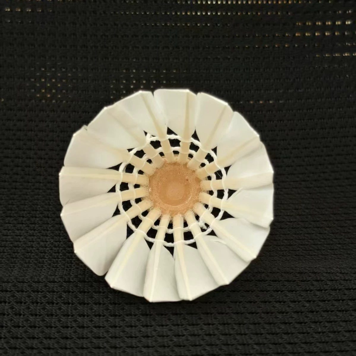 Ciconia? No, it's just a product: single-sided feather badminton ball, no-brand factory direct sales tough training ball essential choice