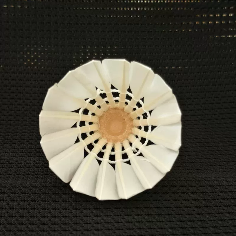 Ciconia? No, it's just a product: single-sided feather badminton ball, no-brand factory direct sales tough training ball essential choice