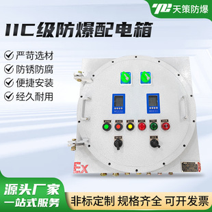 Iic Grade Explosion-Proof Distribution Box Junction Box Explosion-Proof Box Grade Aluminum Alloy Distribution Box Explosion-Proof Cabinet Control Box Empty Box