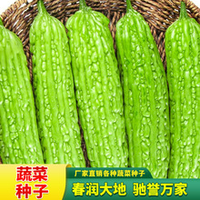 ̖sͿSѷN50;Gļ߲˷N