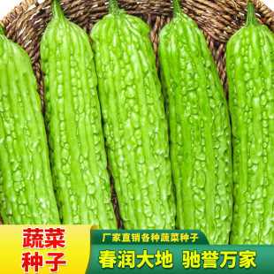 �����̖�s���Ϳ���S���ѷN��50���;G�����ļ���������߲˷N��