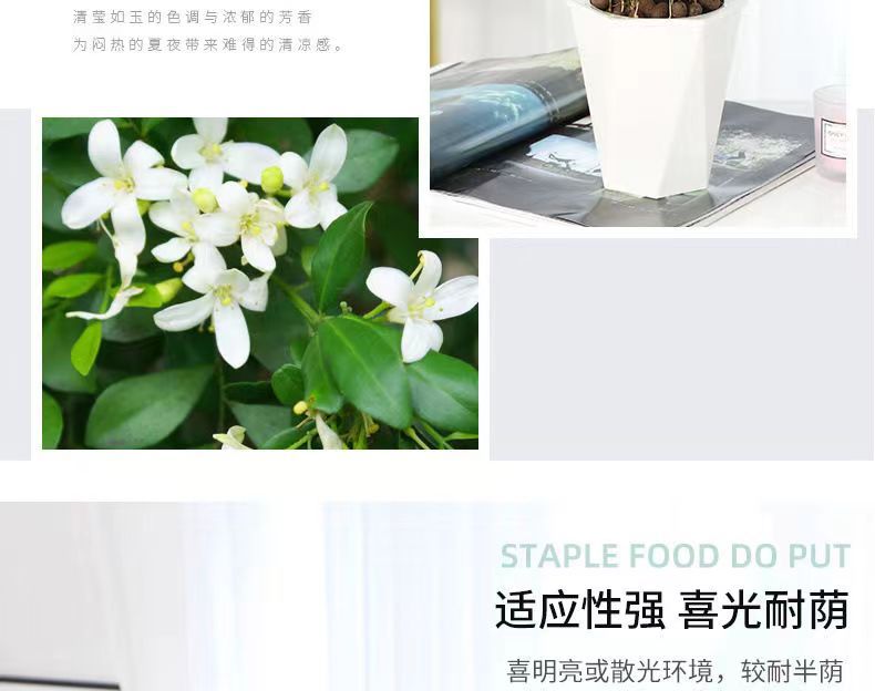 微信图片_20230318080435