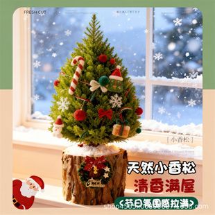 �}�Q��С�����������Gֲ�͏d����[���}�Q���b�С�Y��Ů���R��