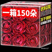 农科院云南墨红冻干玫瑰花干食用玫瑰花瓣冠无熏硫泡水大朵花草茶