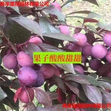 ���~�����G����ľ ���~��� ���~���Ә��� ���~��� �辰�Y����