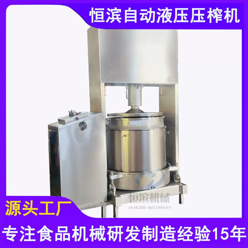 泰域椰子油椰肉榨汁压榨机全自动200吨压力冷榨椰肉椰汁压滤机