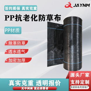 pp���ݲ��@ˇ�ز����@ ���ܷNֲ�@�ֳ��ݲ� ���@���ݲ� ������