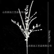 �}�Q�b羳�S���¿������۰��������֦Դ�^�S���}�Q���b�Ʒ