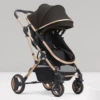Stroller with seat, can sit and lie