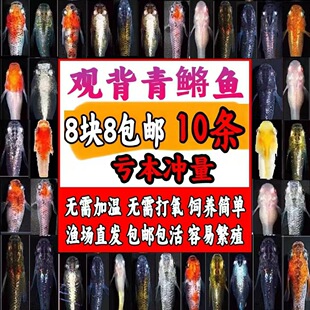 �^�����F�~�^�p�~�û������ˮ�~С���\�����~��ˮ�~���w�ŷ���