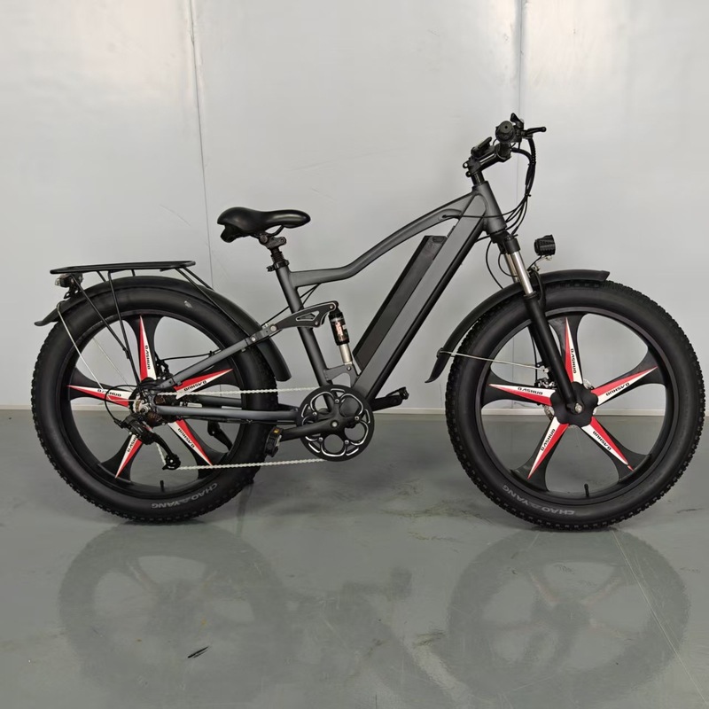 26寸X1宽胎电助力自行车一体轮雪地沙滩电助力自行车|undefined