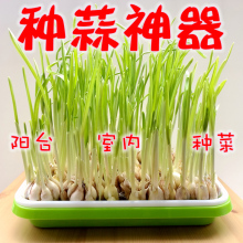 ?�������Դ���Nֲ��N�t�[�^�҃ȼ�ͥ�̨�N�˱P�ԷN���Sˮ