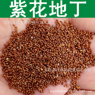 �ݻ��N�� �ϻ��ض��N�� ������� Ұ���˷N�� 1��=1��