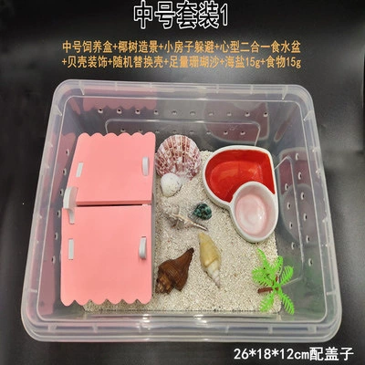 [中号套装1（送一只小蟹）]