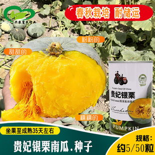 �F���y���ϹϷN�ӱ�A��Ŵ�ϹϷN�ѷ��|�������y���ϹϷN�߲���