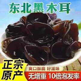东北特产秋木耳250g黑木耳干货肉厚袋装食材长白山小碗耳散装