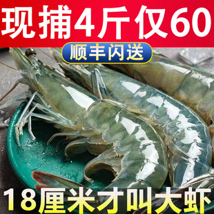 ���u���r�r���ك����󺣲����r�����r���r���r�����r�ك����r