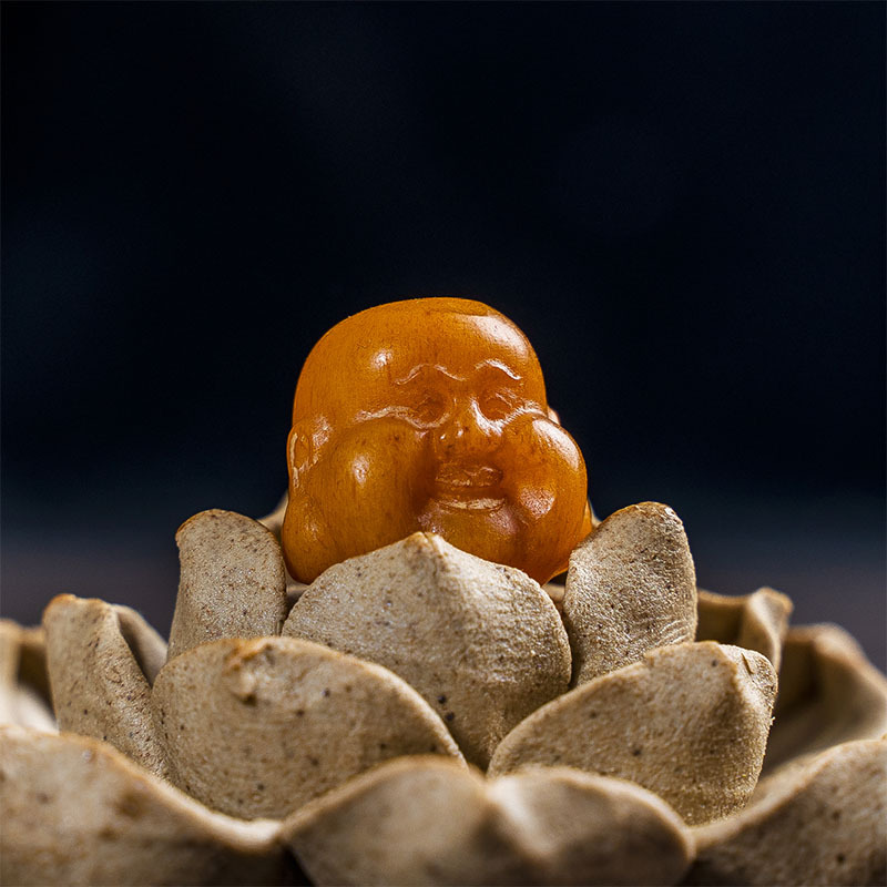 未标题-1_0018_CYH02371