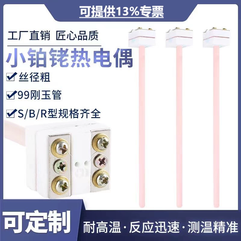 Небольшая платиновая родиевый термопара типа S WRP-100 жаропрочной печи муфельной печи экспериментальный датчик температуры трубы корунда