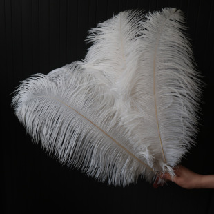 ��ɫ�r�Bë15-65CM���|���U�r�B��ë�b�Y��c�[�����b���