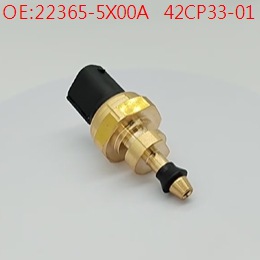 �羳������������ŵѹ�������� 42CP33-1 22365-5X00A 223655X00A