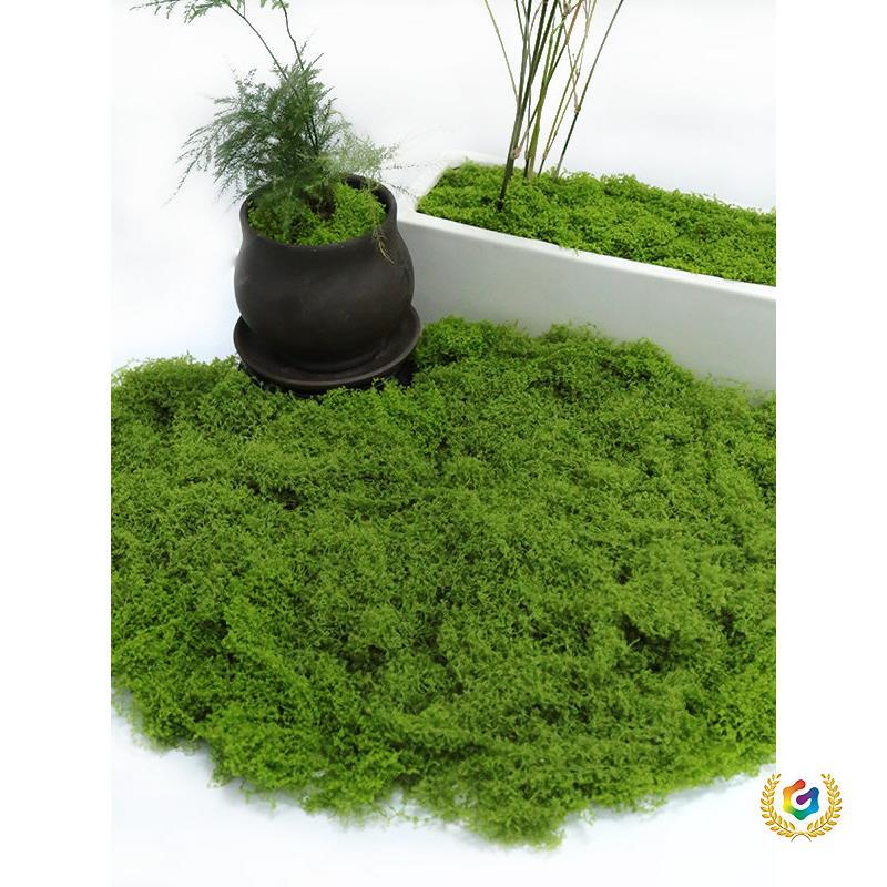 ✅ Moss jungle artificial moss bionic turf landscaping silk grass vegetation turf lawn flower pot paving