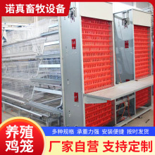 全自动阶梯式蛋鸡笼加背负式喂料机捡蛋机自动喂料系统养鸡设备