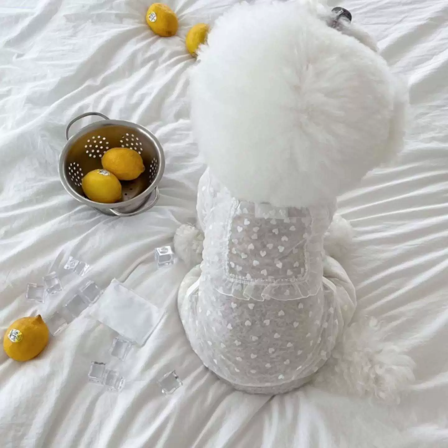 Одежда для домашних животных, летние трусы-боксеры с защитой от комаров и насекомых, трусы-боксеры с цветочным сердечком и карманом с клапаном, Тедди Бишон Шнауцер