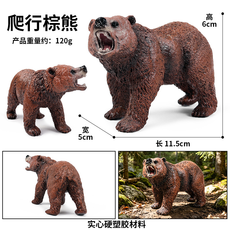 Bear pardo rastrero
